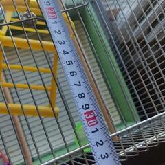 鳥かごの画像
