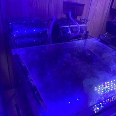 海水魚水槽の画像
