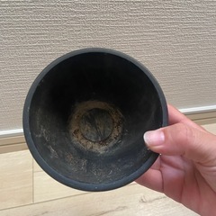 ガーデニング鉢の画像