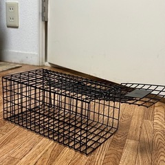 未使用 鉄製 ネズミ捕りトラップ（ワナ）の画像