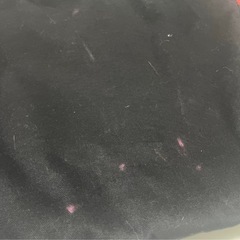 ヴィクトリアシークレットのトートバッグの画像