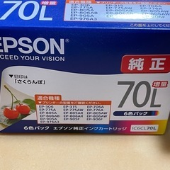 エプソンプリンター純正インクIC6CL70Lの画像