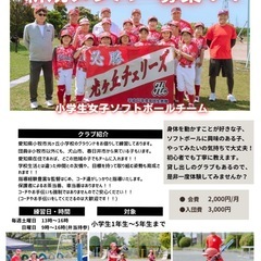 小学生女子ソフトボールチーム　小1〜小5の団員募集中！！