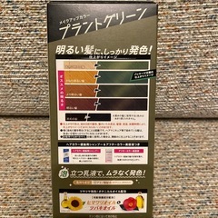 【開封済み 未使用品
】ビューティーン プラントグリーン の画像