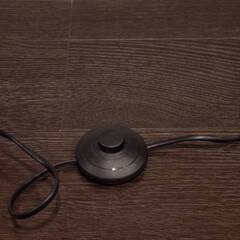 フロアライト 白熱電球付き フットスイッチタイプの画像