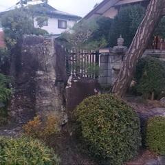 庭園　「石」「松」　　等の画像