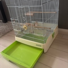 鳥籠の画像