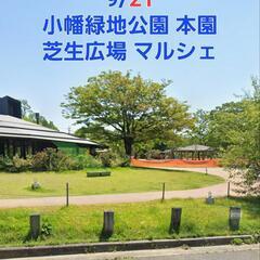 めだか販売のお知らせ