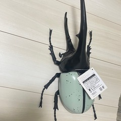 ヘラクレスオオカブトの画像