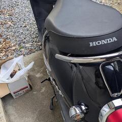 ホンダジョルノAF70の画像