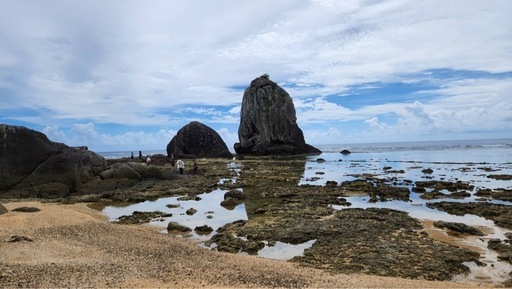 伊丹空港〜奄美大島までの航空券