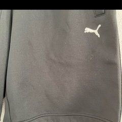 Puma 黒 ショートパンツ ジャージ素材 横ロゴピンクライン M 紐調節の画像