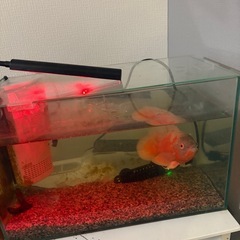 水槽
の画像