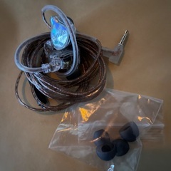 9/2 12時に新橋駅かGINZA SIXで　極美品　Fiio JD10 Transparentの画像