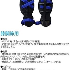 リアラインバランスシューズ 膝関節用Ver.3の画像