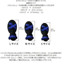 リアラインバランスシューズ 膝関節用Ver.3の画像