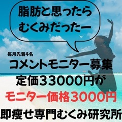 募集開始【3000円】即痩せモニターキャンペーン
