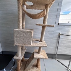 猫タワーの画像