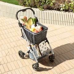ショッピングカート　EcoCa 保冷マイバッグセットの画像