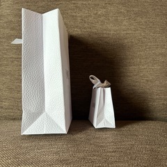 Dior ショッパー 紙袋(取引済)の画像