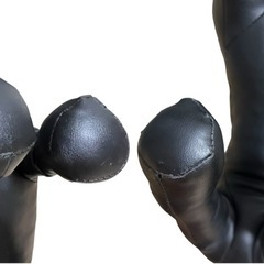 ドッグトルソーの画像