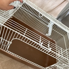 小動物ゲージの画像