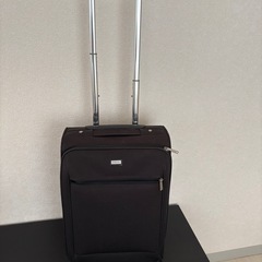 旅行用バッグ3点の画像