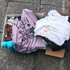 急募☆130センチダンボール一箱分夏物多めの画像