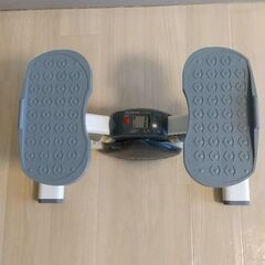 モダンロイヤル エアロライフ サイドステッパー DR-3865の画像