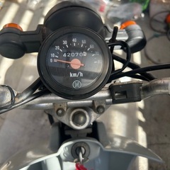 バーディ90の画像