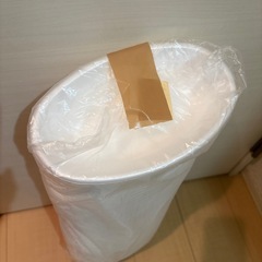 【お取引中】発泡スチロール製カレー皿の画像