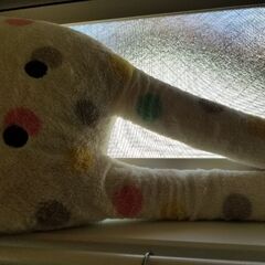 怪しいニヤ顔🐰愛くるしいウサギ抱き枕の画像