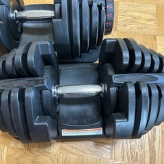 可変式ダンベル 40kg × 2個セットの画像