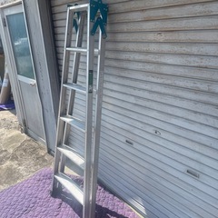 はしご　兼用　脚立　の画像