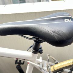 louis garneau ルイガノsetter8.0　シマノ２４段変速(３×８)　引取専用の画像