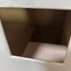 決まりました！猫タワーの画像
