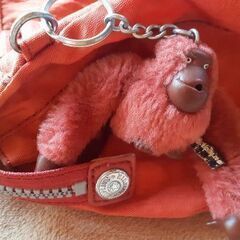 👜 キプリング(Kipling) バック キーホルダー付 ブランドの画像
