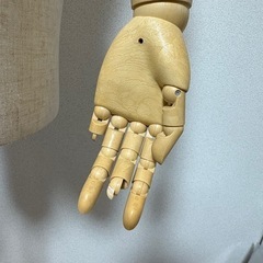 トルソー『受付中止』の画像
