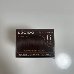 ルシード　ワンプッシュカラー　ダークブラウン　6　の画像