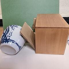 赤津焼　龍泉造　呉須白梅飾壺　茶壺
の画像