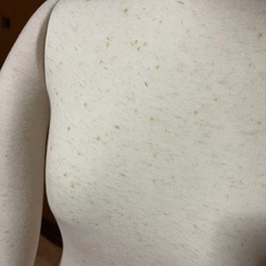 【出品番号1】　着付け練習用　トルソーの画像