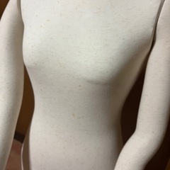 【出品番号1】　着付け練習用　トルソーの画像