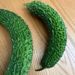 規格外　無農薬お化けゴーヤ　激安❣️の画像