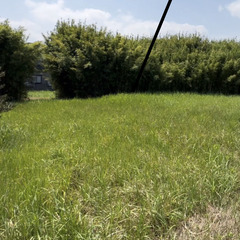 【長生郡白子町】フォークリフト免許をお持ちの方！資材搬入アルバイトを探しておりますの画像