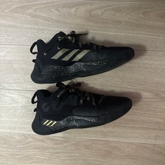 adidasバスケットシューズ
　27cmの画像