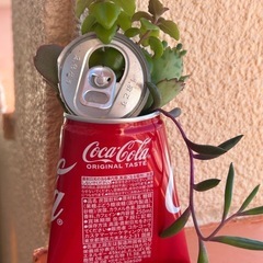 リメ缶多肉植物寄せの画像