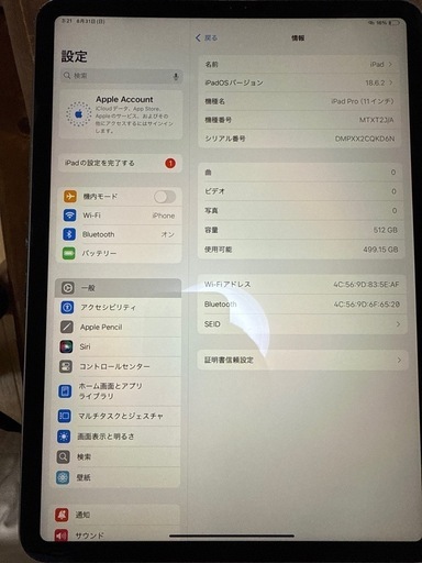 iPad Pro 512G