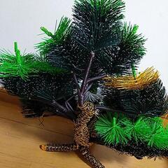 松　水引き　縁起物　お祝いの画像