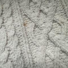 ジェラピケ⭐︎中古品の画像