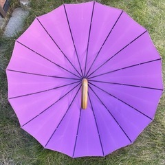 上品な印象の傘　16本骨の画像